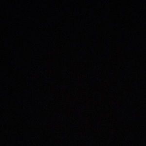 Meet your Posher, Paige